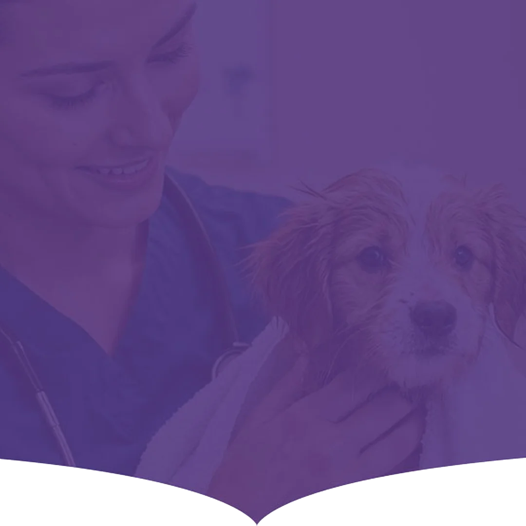 Pet Store in Nerkundram, Chennai