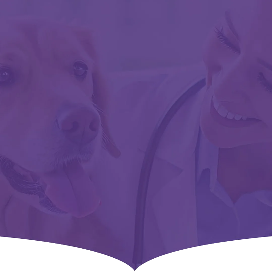 Expert Veterinarian in Nerkundram, Chennai