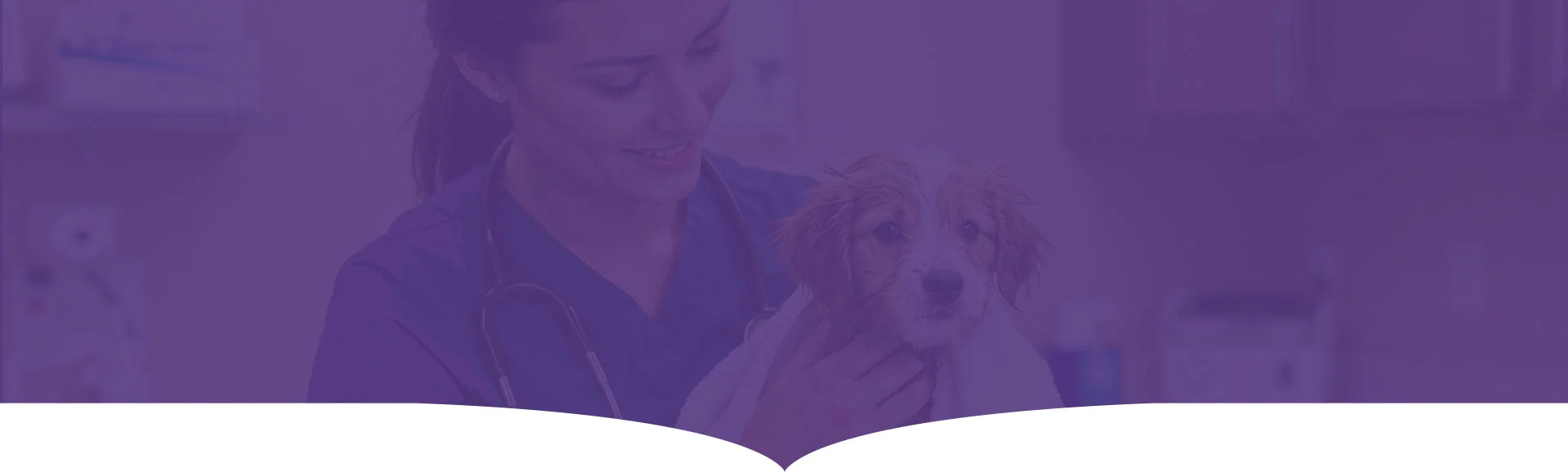Pet Store in Nerkundram, Chennai